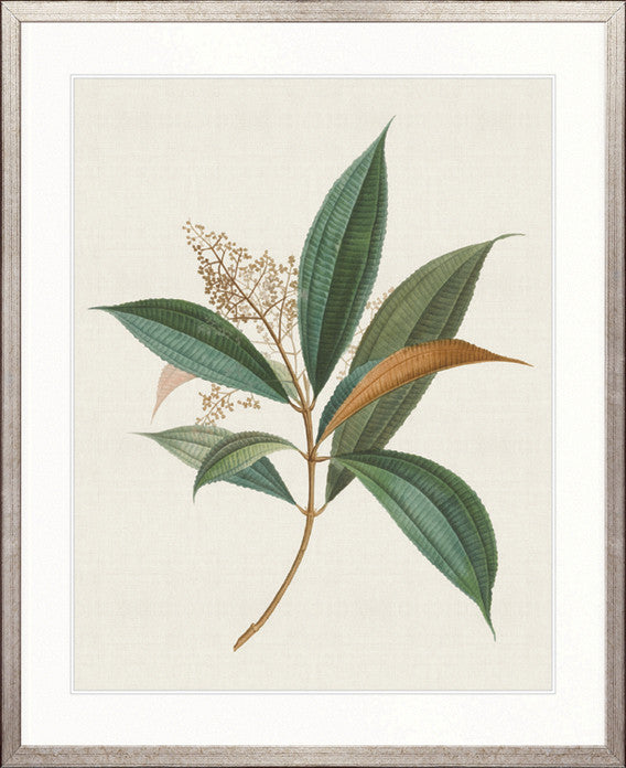Floral Elegance I