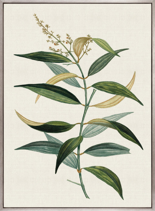 Floral Elegance II (Canvas)
