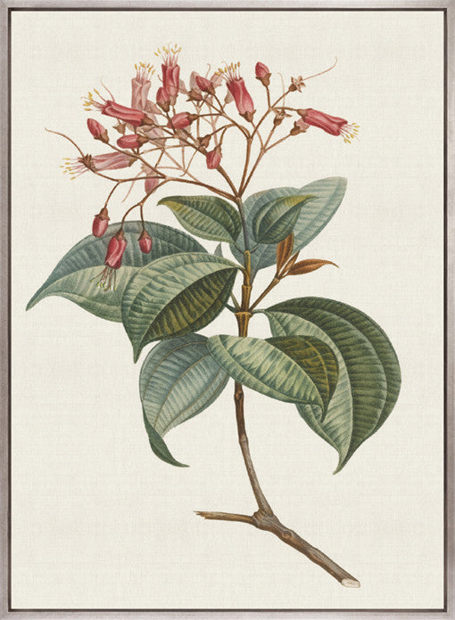 Floral Elegance III (Canvas)