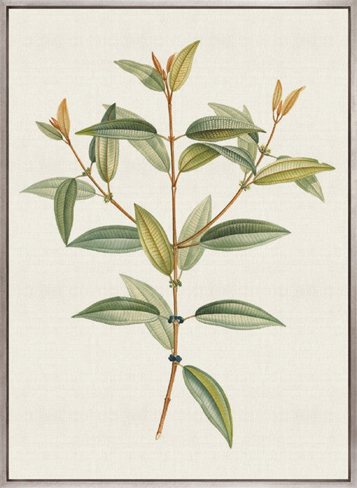 Floral Elegance IV (Canvas)