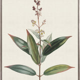 Floral Elegance VI (Canvas)
