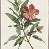 Floral Elegance VII (Canvas)