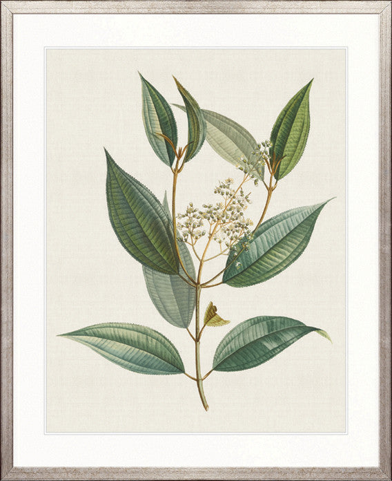 Floral Elegance VIII