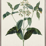 Floral Elegance IX (Canvas)
