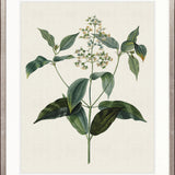 Floral Elegance IX