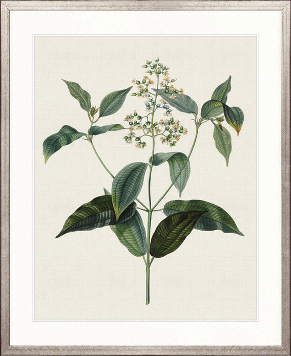 Floral Elegance IX