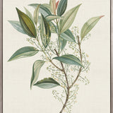 Floral Elegance XII (Canvas)