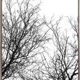 Tree Silhouette I (Canvas)