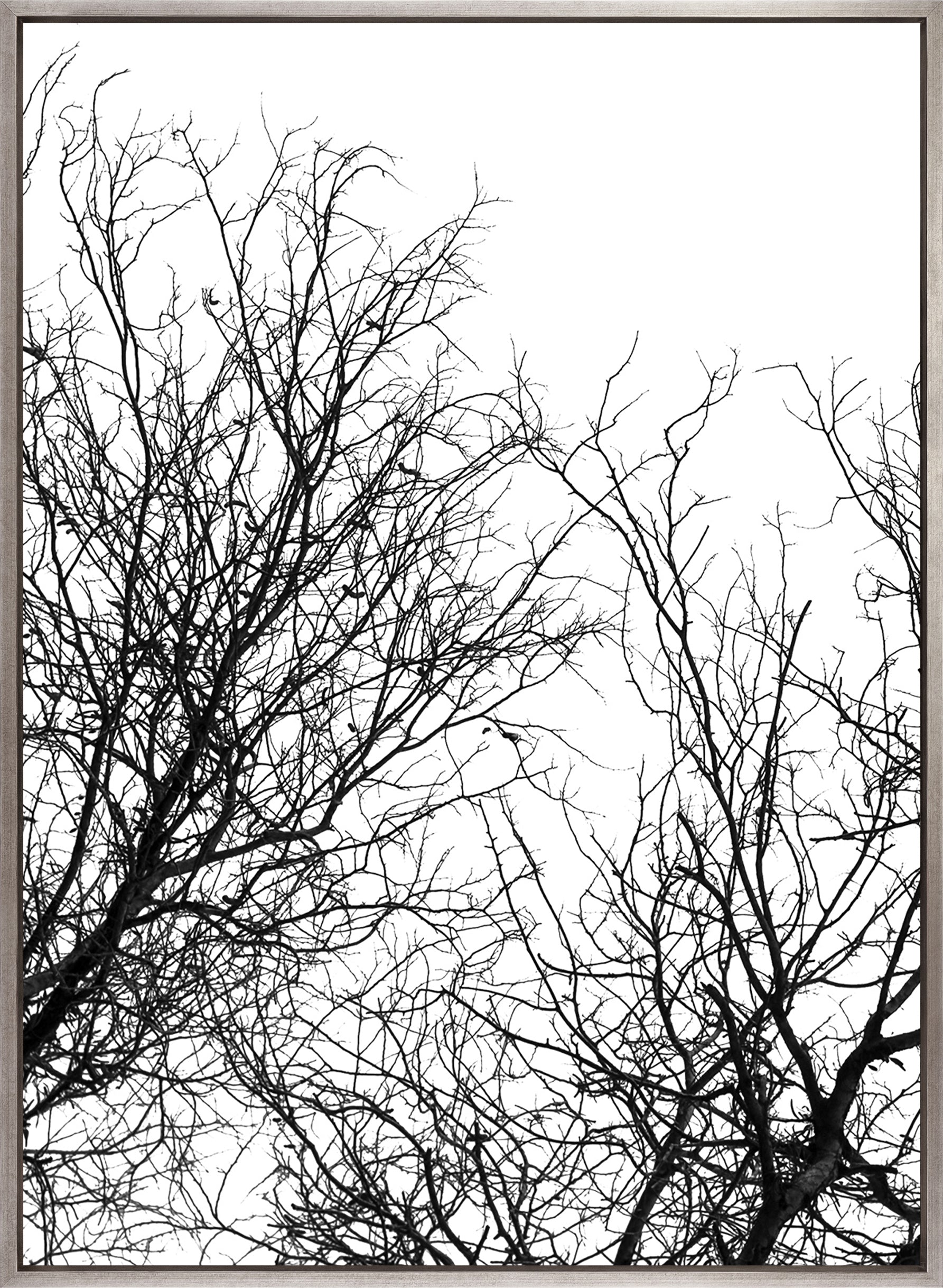 Tree Silhouette I (Canvas)