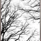 Tree Silhouette II (Canvas)
