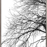 Tree Silhouette III (Canvas)