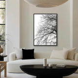 Tree Silhouette III (Canvas)