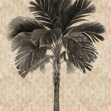 Yasawa Palm I