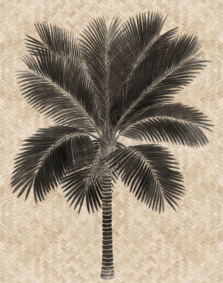 Yasawa Palm II