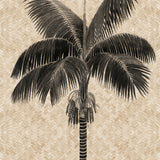 Yasawa Palm III