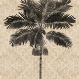Yasawa Palm VI