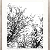 Tree Silhouette I