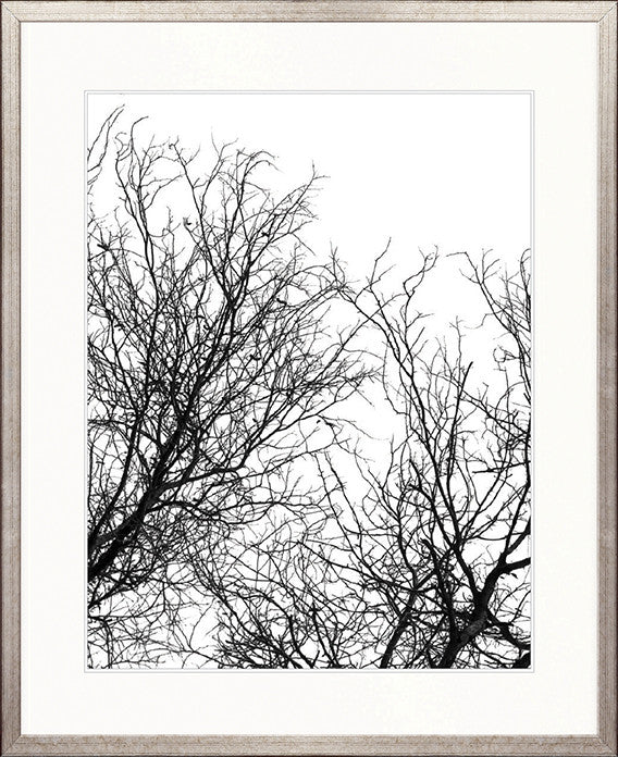 Tree Silhouette I