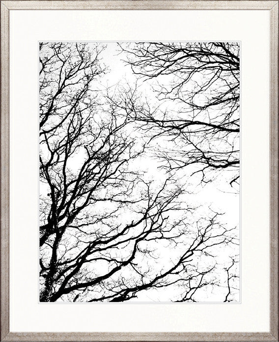 Tree Silhouette II