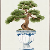 Imperial Arboretum I (Canvas) Large (903mm W x 1109mm H)