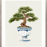Imperial Arboretum I Small (465mm W x 560mm H) / Standard Clear Glass