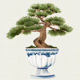 Imperial Arboretum I Small (465mm W x 560mm H) / Standard Clear Glass