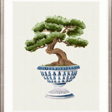 Imperial Arboretum II Small (465mm W x 560mm H) / Standard Clear Glass