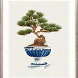 Imperial Arboretum III Small (465mm W x 560mm H) / Standard Clear Glass