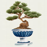 Imperial Arboretum III Small (465mm W x 560mm H) / Standard Clear Glass