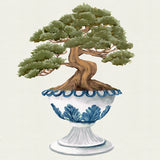 Imperial Arboretum IV Small (465mm W x 560mm H) / Standard Clear Glass