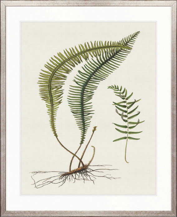 Exotic  Foliage V