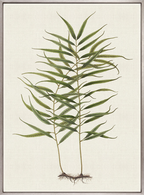 Exotic  Foliage IX (Canvas)
