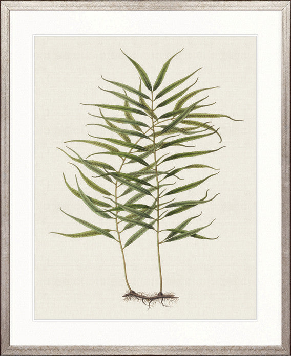 Exotic  Foliage IX