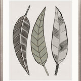 Eucalypt Menagerie VII