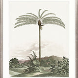 Vintage Palm Study I