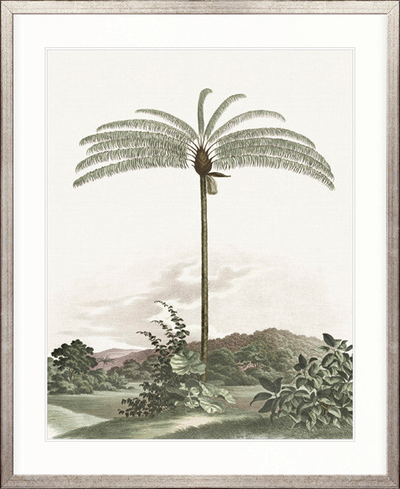 Vintage Palm Study I