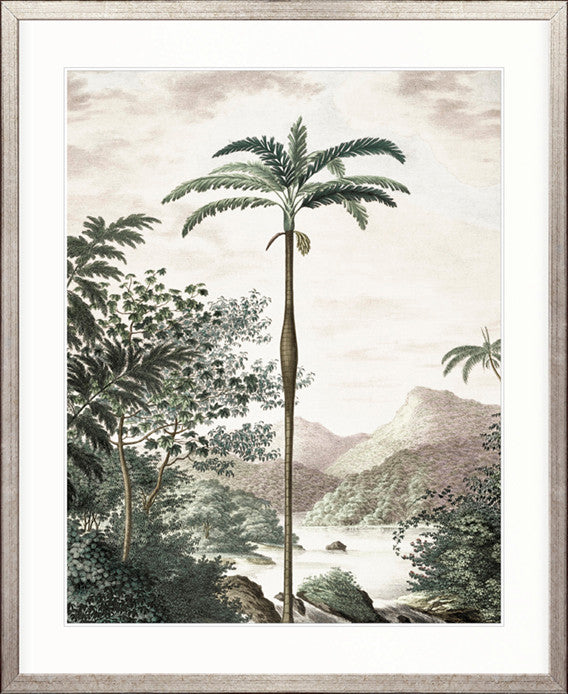 Vintage Palm Study II