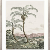 Vintage Palm Study V