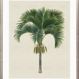 Kebaya Palm I