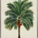 Kebaya Palm II (Canvas)