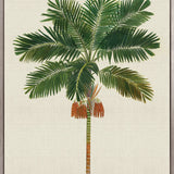 Kebaya Palm III (Canvas)