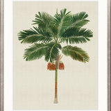 Kebaya Palm III