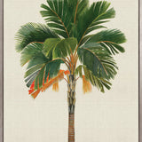 Kebaya Palm VI (Canvas)