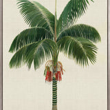 Kebaya Palm VII (Canvas)
