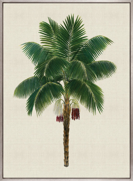 Kebaya Palm XI (Canvas)