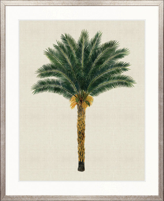 Kebaya Palm XII
