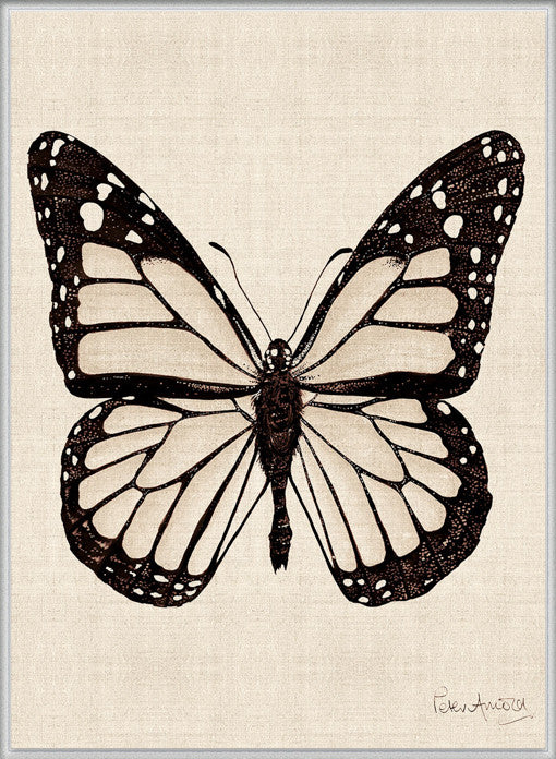 Fanciful Butterfly VIII (Canvas)