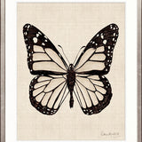 Fanciful Butterfly VIII