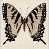 Fanciful Butterfly IX (Canvas)