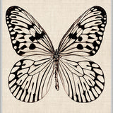 Fanciful Butterfly X (Canvas)